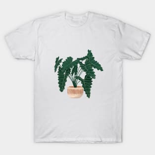 Philodendron Xanadu illustration T-Shirt